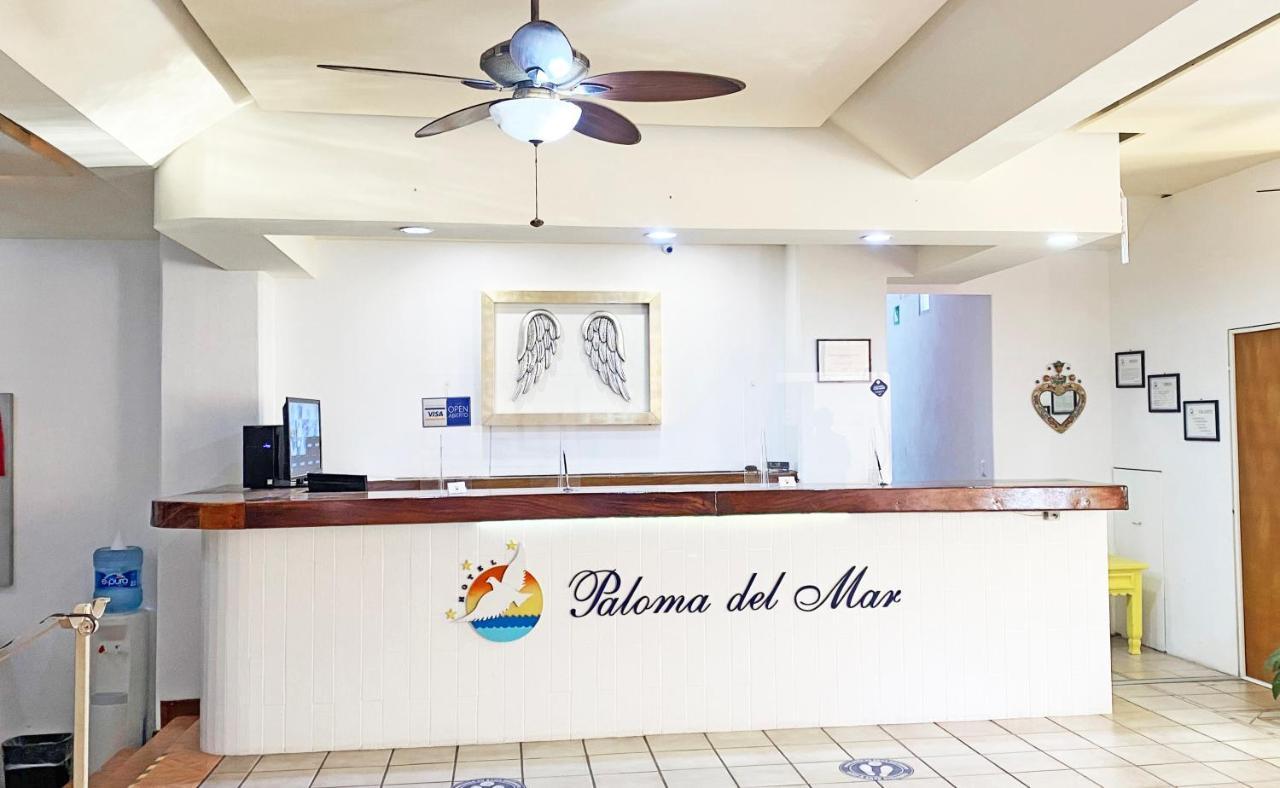 Hotel Paloma Del Mar (Adults Only) à Puerto Vallarta Extérieur photo